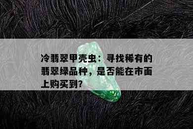 冷翡翠甲壳虫：寻找稀有的翡翠绿品种，是否能在市面上购买到？