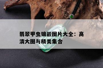 翡翠甲虫镶嵌图片大全：高清大图与精美集合