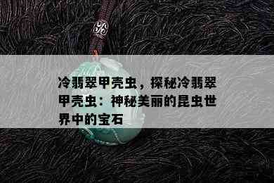 冷翡翠甲壳虫，探秘冷翡翠甲壳虫：神秘美丽的昆虫世界中的宝石