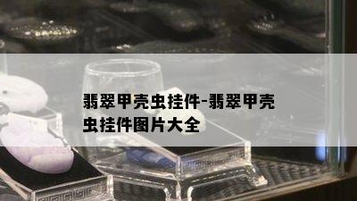 翡翠甲壳虫挂件-翡翠甲壳虫挂件图片大全