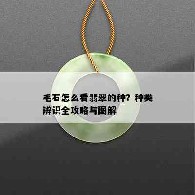 毛石怎么看翡翠的种？种类辨识全攻略与图解