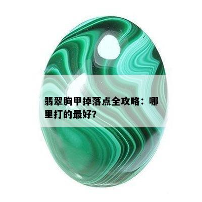 翡翠胸甲掉落点全攻略：哪里打的更好？