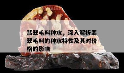 翡翠毛料种水，深入解析翡翠毛料的种水特性及其对价格的影响