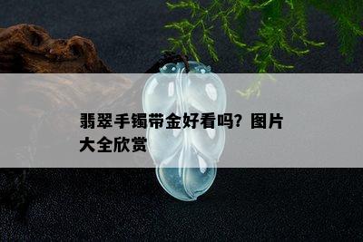 翡翠手镯带金好看吗？图片大全欣赏