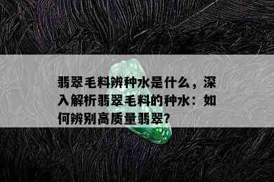 翡翠毛料辨种水是什么，深入解析翡翠毛料的种水：如何辨别高质量翡翠？