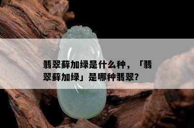 翡翠藓加绿是什么种，「翡翠藓加绿」是哪种翡翠？