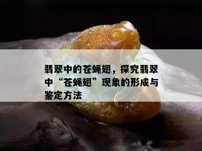 翡翠中的苍蝇翅，探究翡翠中“苍蝇翅”现象的形成与鉴定方法