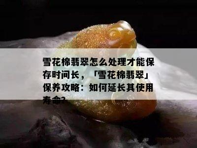 雪花棉翡翠怎么处理才能保存时间长，「雪花棉翡翠」保养攻略：如何延长其使用寿命？