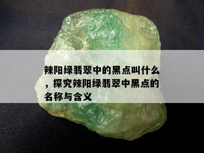 辣阳绿翡翠中的黑点叫什么，探究辣阳绿翡翠中黑点的名称与含义