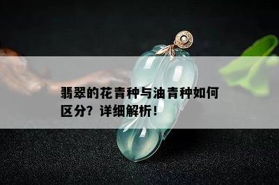 翡翠的花青种与油青种如何区分？详细解析！