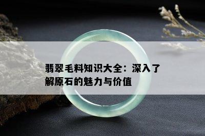 翡翠毛料知识大全：深入了解原石的魅力与价值