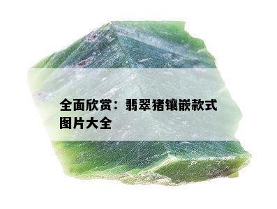 全面欣赏：翡翠猪镶嵌款式图片大全