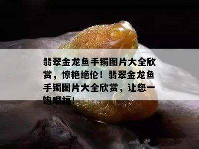 翡翠金龙鱼手镯图片大全欣赏，惊艳绝伦！翡翠金龙鱼手镯图片大全欣赏，让您一饱眼福！