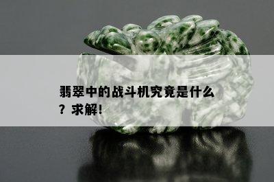 翡翠中的战斗机究竟是什么？求解！