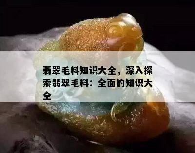 翡翠毛料知识大全，深入探索翡翠毛料：全面的知识大全