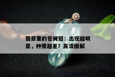 翡翠里的苍蝇翅：出现越明显，种质越差？高清图解