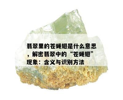 翡翠里的苍蝇翅是什么意思，解密翡翠中的“苍蝇翅”现象：含义与识别方法