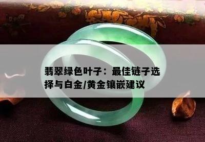 翡翠绿色叶子：更佳链子选择与白金/黄金镶嵌建议