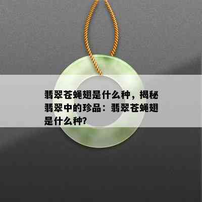 翡翠苍蝇翅是什么种，揭秘翡翠中的珍品：翡翠苍蝇翅是什么种？