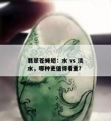 翡翠苍蝇翅：水 vs 淡水，哪种更值得看重？