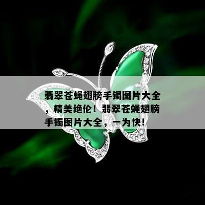 翡翠苍蝇翅膀手镯图片大全，精美绝伦！翡翠苍蝇翅膀手镯图片大全，一为快！