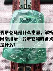 翡翠苍蝇是什么意思，解析网络用语：翡翠苍蝇的含义是什么？