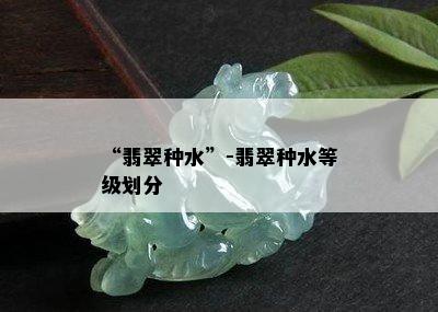 “翡翠种水”-翡翠种水等级划分