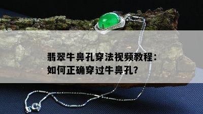 翡翠牛鼻孔穿法视频教程：如何正确穿过牛鼻孔？