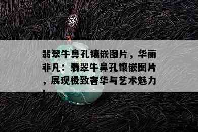 翡翠牛鼻孔镶嵌图片，华丽非凡：翡翠牛鼻孔镶嵌图片，展现极致奢华与艺术魅力！