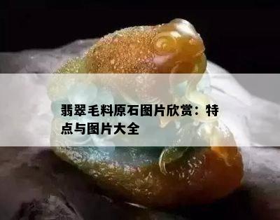 翡翠毛料原石图片欣赏：特点与图片大全