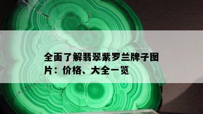 全面了解翡翠紫罗兰牌子图片：价格、大全一览