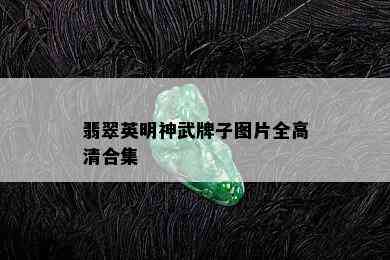 翡翠英明神武牌子图片全高清合集