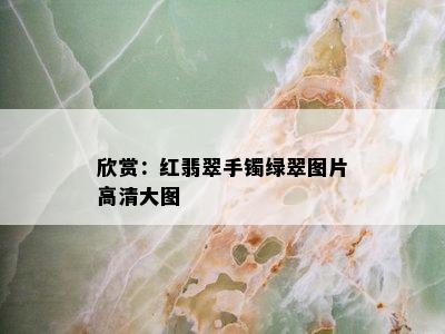 欣赏：红翡翠手镯绿翠图片高清大图