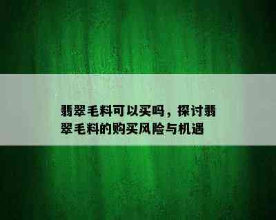 翡翠毛料可以买吗，探讨翡翠毛料的购买风险与机遇