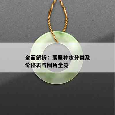 全面解析：翡翠种水分类及价格表与图片全览