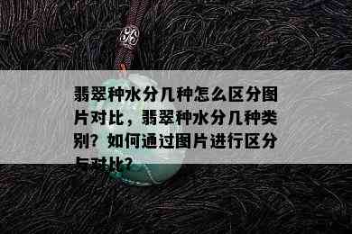 翡翠种水分几种怎么区分图片对比，翡翠种水分几种类别？如何通过图片进行区分与对比？