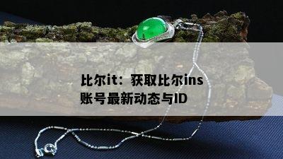 比尔it：获取比尔ins账号最新动态与ID