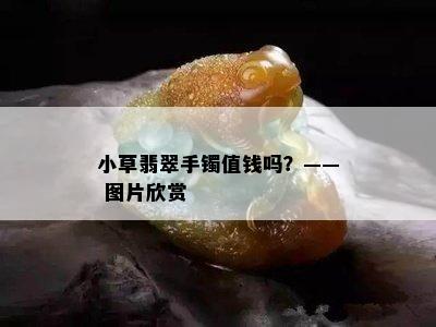 小草翡翠手镯值钱吗？—— 图片欣赏