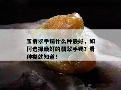 玉翡翠手镯什么种更好，如何选择更好的翡翠手镯？看种类就知道！