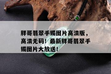 胖哥翡翠手镯图片高清版，高清 *** ！最新胖哥翡翠手镯图片大放送！