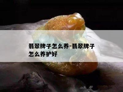 翡翠牌子怎么养-翡翠牌子怎么养护好