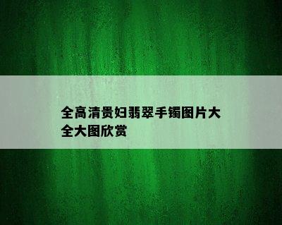 全高清贵妇翡翠手镯图片大全大图欣赏