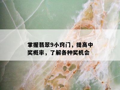 掌握翡翠9小窍门，提高中奖概率，了解各种奖机会