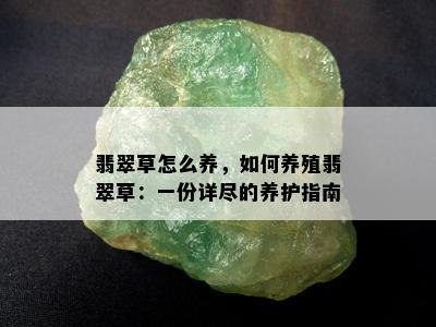 翡翠草怎么养，如何养殖翡翠草：一份详尽的养护指南