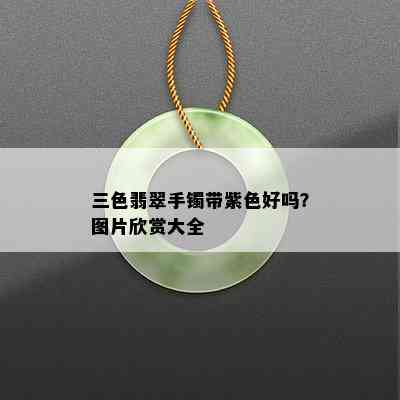 三色翡翠手镯带紫色好吗？图片欣赏大全