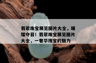 翡翠珠宝展览图片大全，璀璨夺目！翡翠珠宝展览图片大全，一奢华瑰宝的魅力