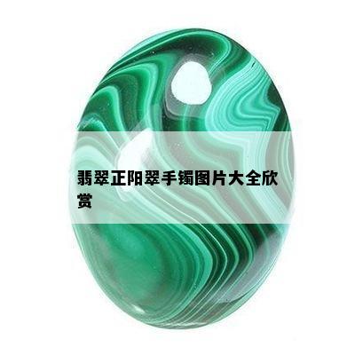 翡翠正阳翠手镯图片大全欣赏