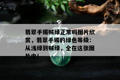 翡翠手镯贼绿正常吗图片欣赏，翡翠手镯的绿色等级：从浅绿到贼绿，全在这张图片中！