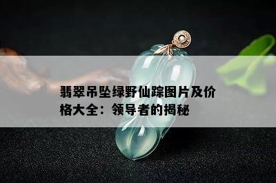 翡翠吊坠绿野仙踪图片及价格大全：领导者的揭秘