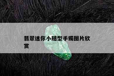 翡翠迷你小随型手镯图片欣赏